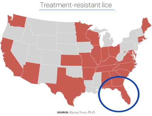 The Lice Boutique Treatment Resistant Lice